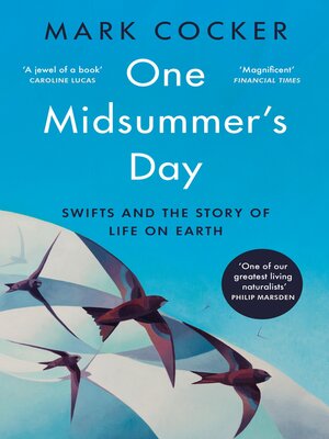 One Midsummer's Day - ebook
